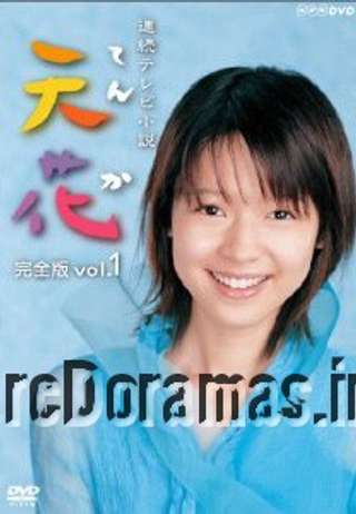 Tenka | 天花 2004